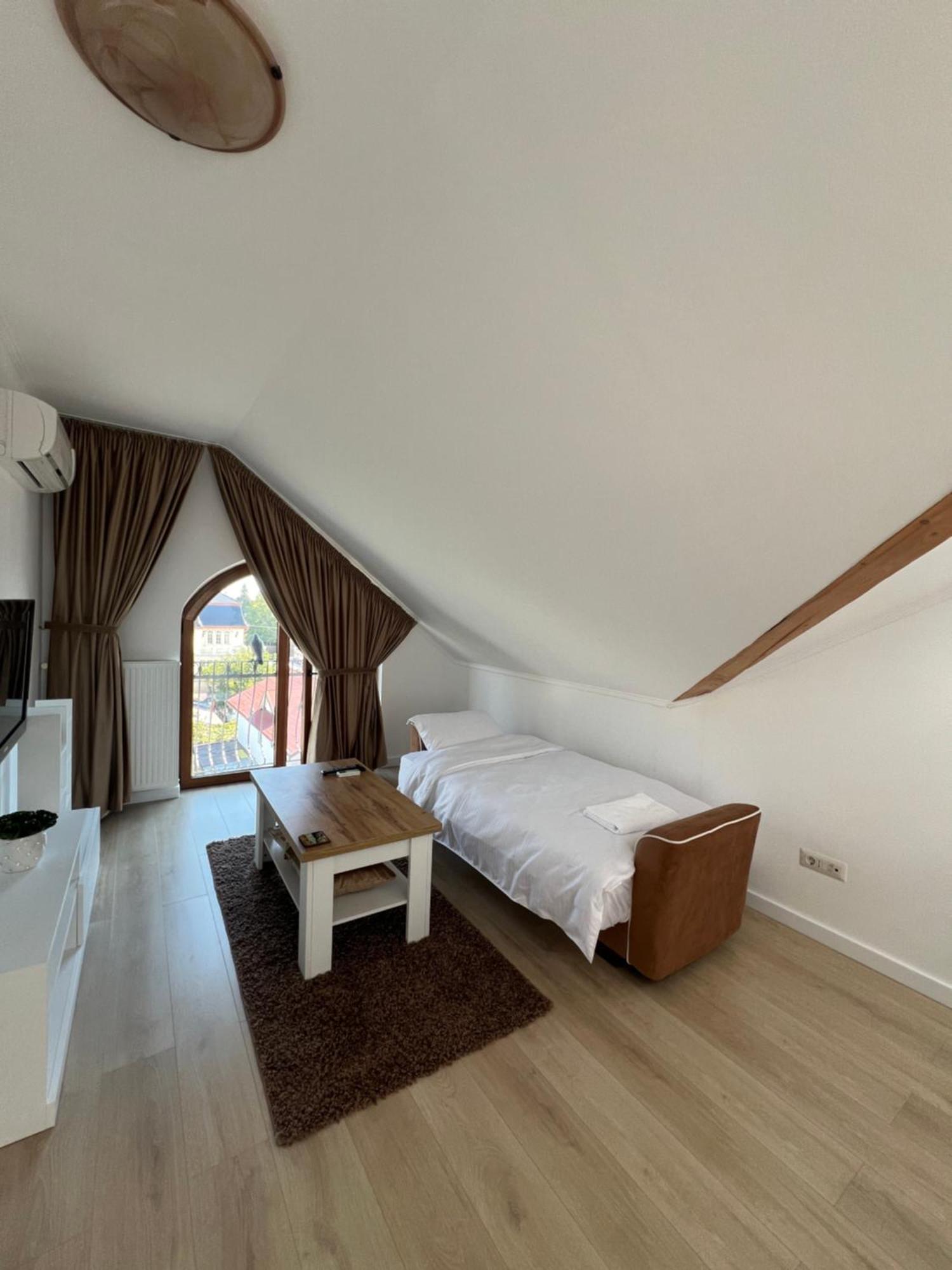 Apartment In The Villa Northern Dreams #3 Parking Included In Price Тимишоара Экстерьер фото